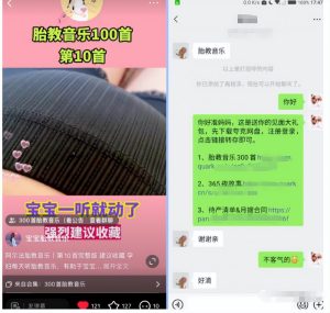小红书胎教音乐副业项目，拉新+引流轻松搞定，玩法无私分享给你-云际资源网