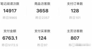 90后互联网创业者分享小红薯电商玩法，如何入局、操作、分一杯羹-云际资源网