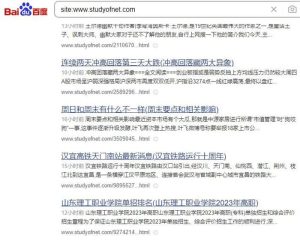 如何提高网站日收？新站养日收的核心方法和技巧-云际资源网