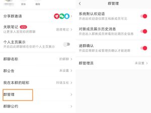 小红薯群禁言副业项目思路，利用信息差零成本月入过万-云际资源网