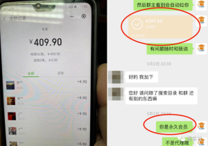 新手也能轻松入门！知识付费项目分享，百度SEO截流引流变现攻略-云际资源网