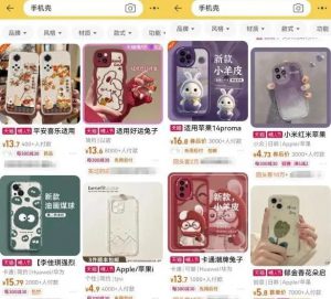 卖手机壳年入10W？教你如何操作！-云际资源网