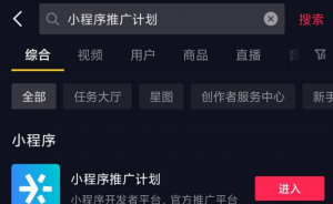 非常适合新手小白的抖音小程序推广项目，一个作品赚1W+！-云际资源网