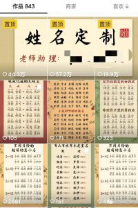 暴利、冷门小众项目：抖音宝宝取名，100%纯利润-云际资源网