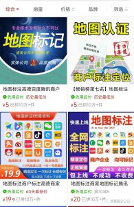 一单200，十多分钟搞定的项目拆解，地图标注项目，一天轻松破千，可当做正规项目操作。-云际资源网