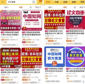 论文查重行业常见的两种玩法,单月利润3w+(淘金之路)-云际资源网