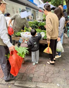 致富第一步，摆摊卖花卉绿植盆栽生意火-云际资源网