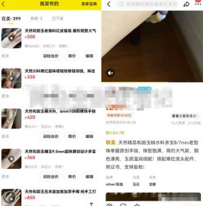 2023年新手作闲鱼无货源如何操作?一周时间突破百万曝光-云际资源网