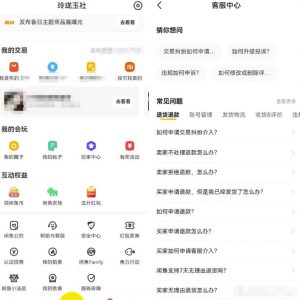 闲鱼爆款宝贝被盗图的解决思路，深入了解项目本质和操作-云际资源网