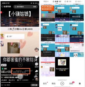 抖音唱歌群自动变现项目，利润一天大几百-云际资源网