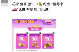 花小猪白撸120元，多号多撸，入口有人收费18.8，《免费分享》-云际资源网