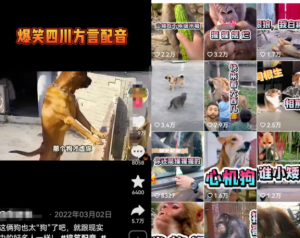 方言搞笑配音项目思路，小白都能轻松上手的简单副业！-云际资源网