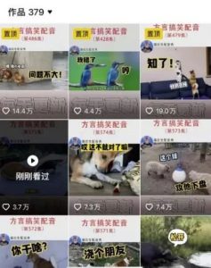 爆火的方言搬砖项目，新手小白就可以做，简简单单的日入100+-云际资源网