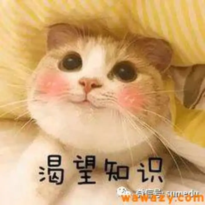 99%的人不知道的财富密码，互联网流量思维，一招被动加粉500+！-云际资源网