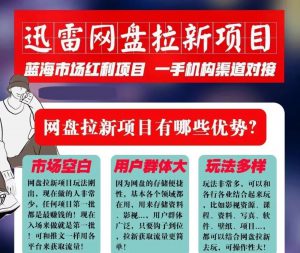 迅雷网盘拉新项目，通过短视频轻松引流，每月搞几个W-云际资源网
