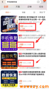 聊天数据恢复虚拟服务项目，可长期操作，日赚500+！-云际资源网