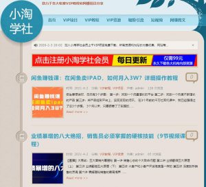 探究日IP300的资源站月收入，以及新手入门该如何做-云际资源网