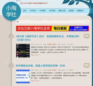 利用云盘精灵引流操作付费资源项目月入过万-云际资源网