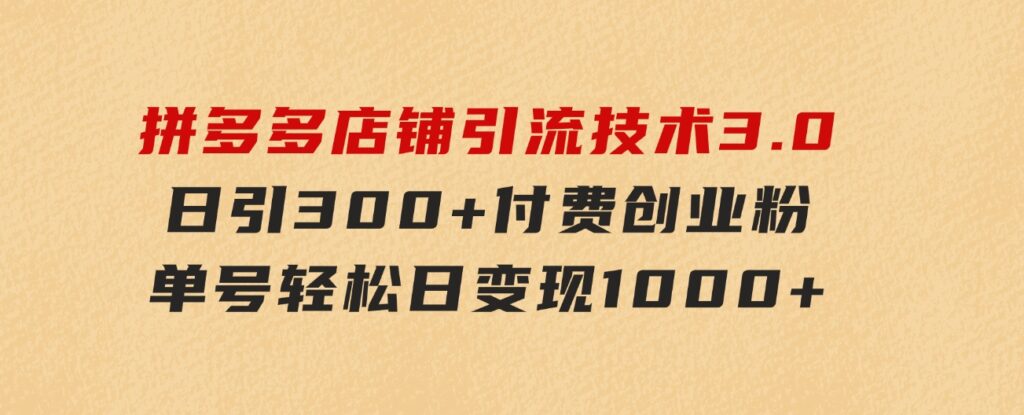 拼多多店铺引流技术3.0，日引300+付费创业粉，单号轻松日变现1000+-云际资源网