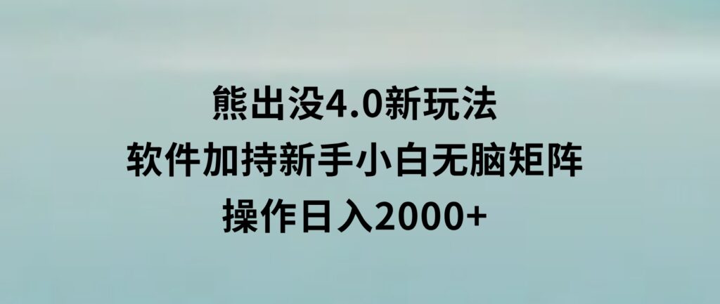 熊出没4.0新玩法，软件加持，新手小白无脑矩阵操作，日入2000+-云际资源网
