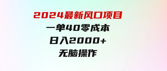 2024最新风口项目，一单40，零成本，日入2000+，无脑操作-云际资源网