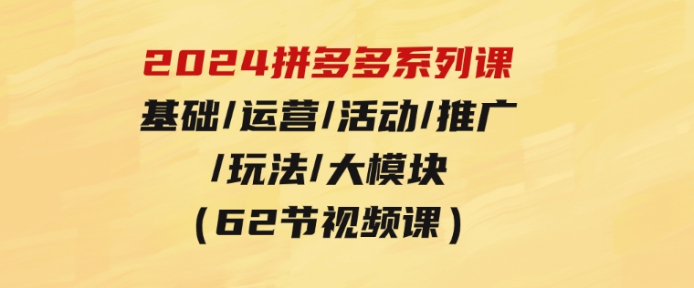 2024拼多多系列课：基础/运营/活动/推广/玩法/大模块（62节视频课）-云际资源网