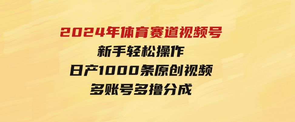 （9810期）2024年体育赛道视频号，新手轻松操作，日产1000条原创视频,多账号多撸分成-云际资源网