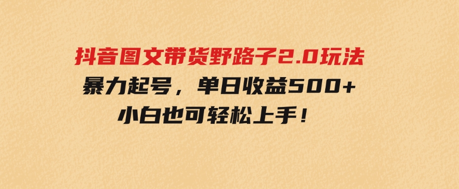 （9790期）抖音图文带货野路子2.0玩法，暴力起号，单日收益500+，小白也可轻松上手！-云际资源网