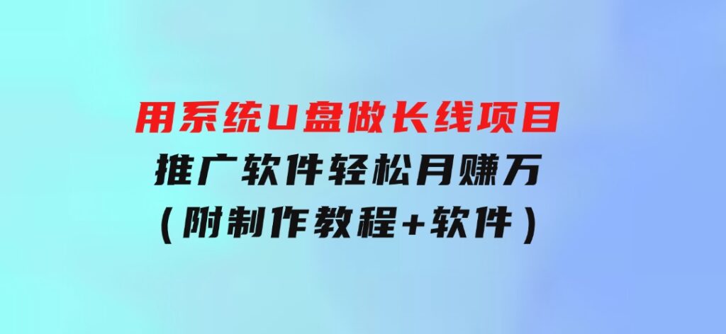 用系统U盘做长线项目，推广软件轻松月赚万元（附制作教程+软件）-云际资源网