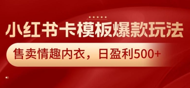 小红书卡模板爆款玩法，售卖情趣内衣，日盈利500+【揭秘】-云际资源网