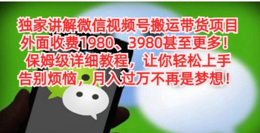 独家讲解微信视频号搬运带货项目，保姆级详细教程-云际资源网