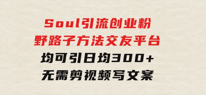Soul引流创业粉野路子方法，交友平台均可引日均300+，无需剪视频写文案-云际资源网