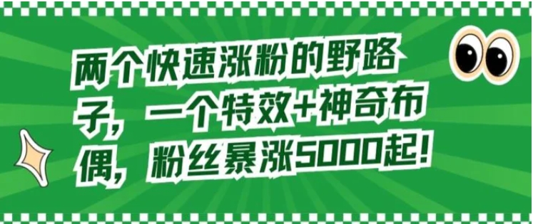 两个快速涨粉的野路子，一个特效+神奇布偶，粉丝暴涨5000起【揭秘】-云际资源网
