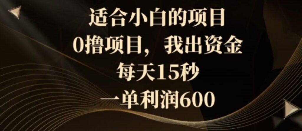 适合小白的项目，0撸项目，我出资金，每天15秒，一单利润600-云际资源网