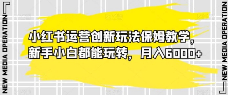 小红书运营创新玩法保姆教学，新手小白都能玩转，月入6000+【揭秘】-云际资源网
