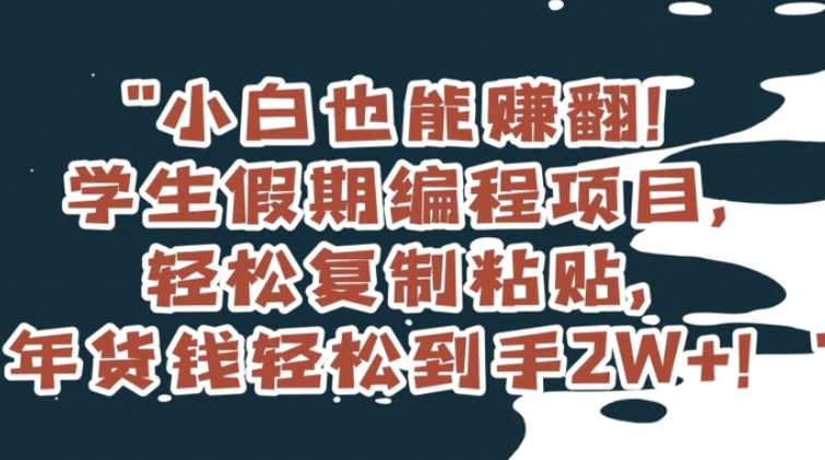 小白也能赚翻！学生假期编程项目，轻松复制粘贴，年货钱轻松到手2W+【揭秘】-云际资源网
