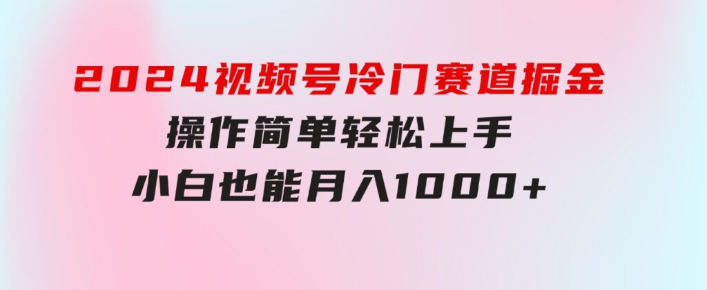 2024视频号冷门赛道掘金，操作简单轻松上手，小白也能月入1000+-云际资源网
