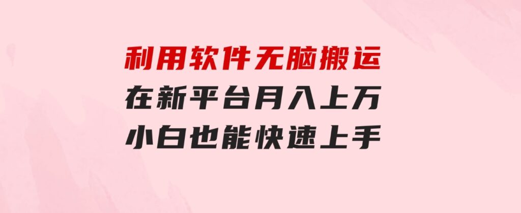 利用软件无脑搬运，在新平台月入上万，小白也能快速上手-云际资源网