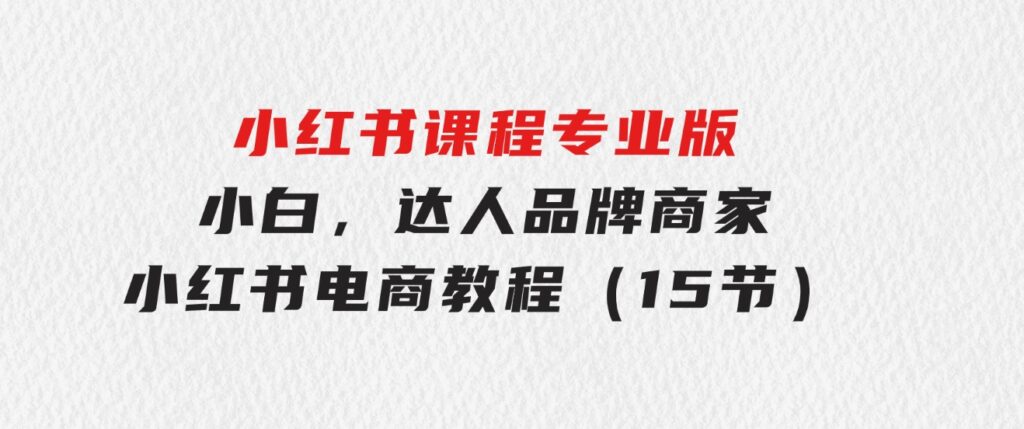 小红书课程专业版，小白，达人，品牌商家，小红书电商教程（15节）-云际资源网