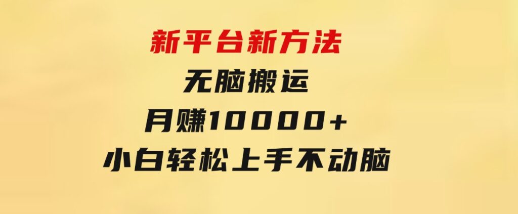 新平台新方法，无脑搬运，月赚10000+，小白轻松上手不动脑-云际资源网