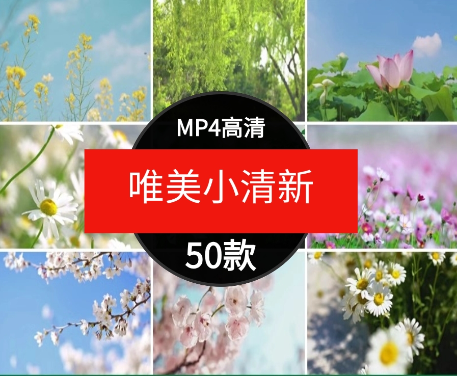 唯美绿色小清新花朵树叶自然阳光伤感治愈情感短片背景视频素材-云际资源网