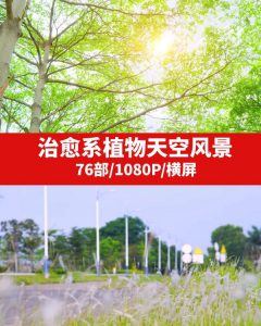 治愈系植物天空风景视频素材-云际资源网