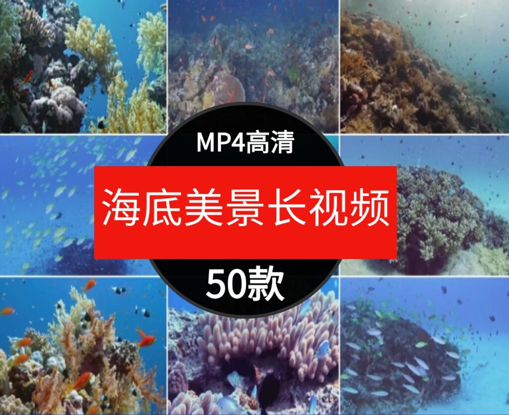 高清海底世界海洋生物鱼群海豚鲨鱼珊瑚潜水特写实拍剪辑视频素材-云际资源网