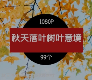 秋天落叶树叶意境视频素材-云际资源网