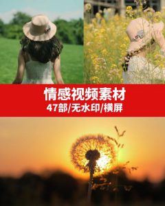 情感励志视频素材-云际资源网