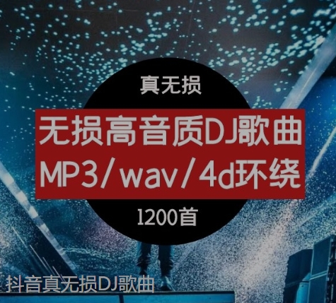 抖音真无损DJ歌曲-云际资源网