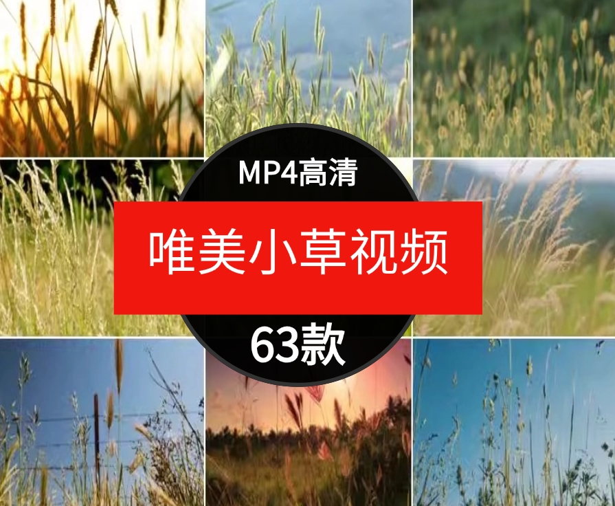 唯美小清新小草野草植物自然风景日落治愈系特写实拍视频素材-云际资源网