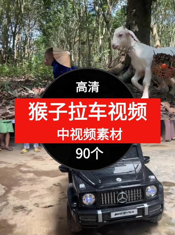 猴子拉车视频素材中视频素材-90个-云际资源网
