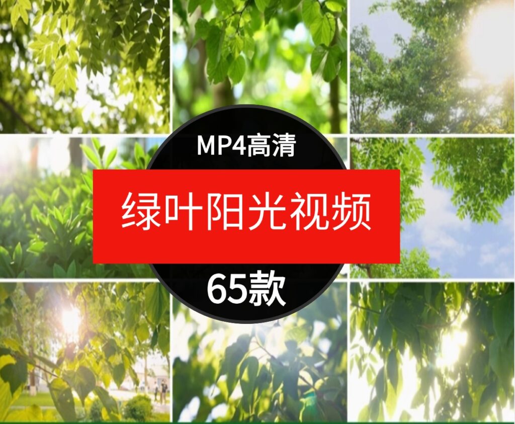 绿色小清新阳光穿透树叶自然美景森林治愈情感背景短片4K视频素材-云际资源网