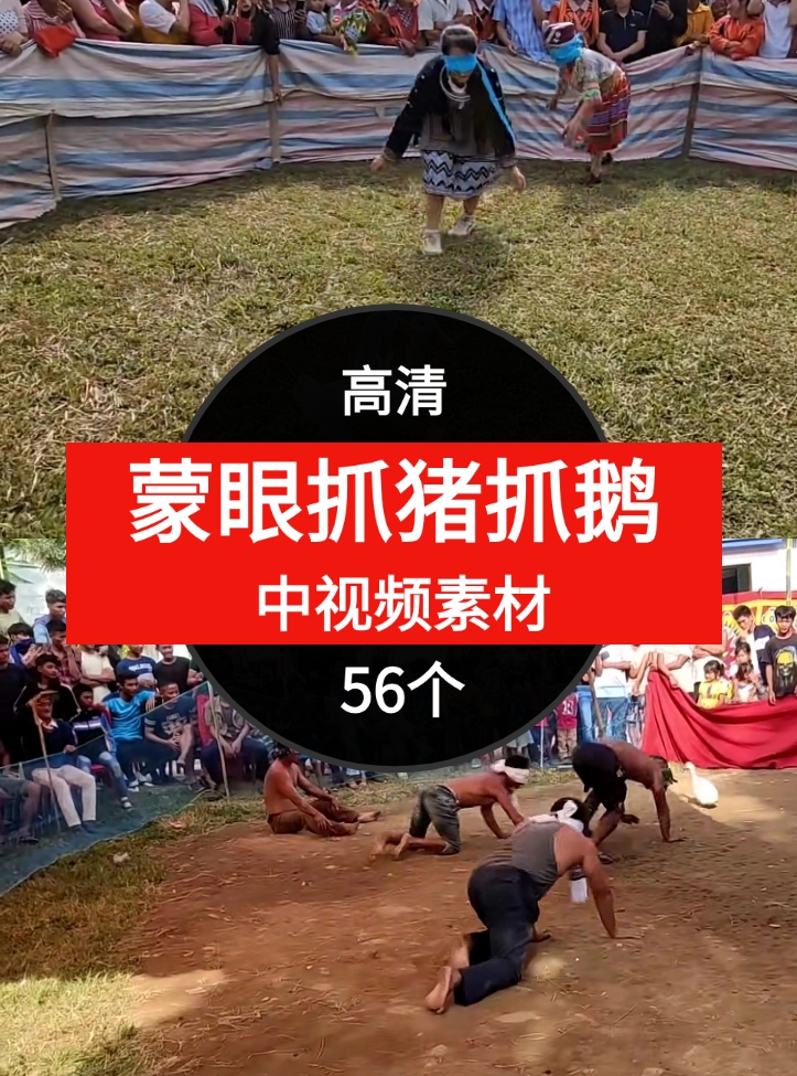蒙眼抓猪抓鹅视频素材中视频素材-56个-云际资源网